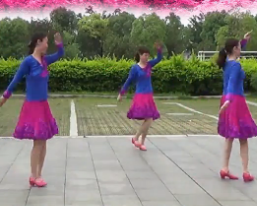 龙岩南公园舞之缘广场舞特别的爱给特别的你 正面动作演示视频