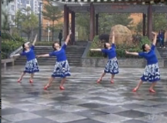 阿中中广场舞雪花来了梅花开正面背面含教学 深圳久久广场舞队演示