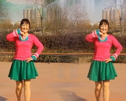 广场舞漂亮的姑娘 漯河百合广场舞 最新情歌广场舞视频