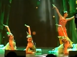 傣族舞舞蹈视频 好看的民族舞蹈