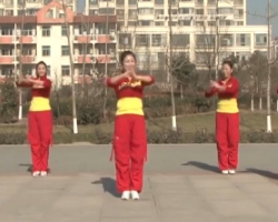 龙都舞动晨韵广场舞大吉大利中国年 2016最新原创有氧健身操舞