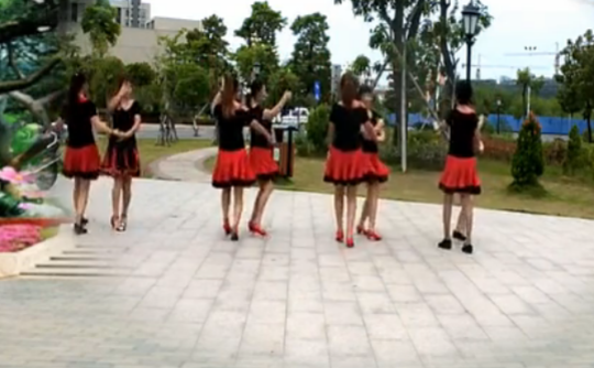 广场舞红雪莲24步舞蹈视频 娟子姐妹广场舞 团队双人舞正面演示附