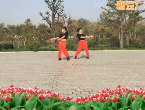 玛卡莱娜 原创附教学 双人健身舞 玉全广场舞 教学演示 视频 歌词舞曲