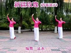 广场舞新疆玫瑰舞蹈 宝鸡刺儿广场舞 分解动作教学视频