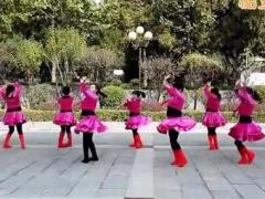 广场舞耶耶耶舞蹈视频 沉香广场舞 分解动作教学附舞曲