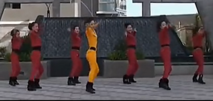 广场舞天生一对舞蹈 杨丽萍广场舞 分解动作教学视频