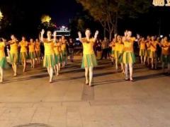 广场舞意乱情迷分解动作教学舞蹈视频 温州燕子广场舞 附