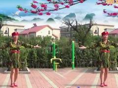 广场舞芦花美舞蹈视频 和悦广场舞 正面演示