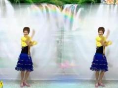 广场舞两只蝴蝶64步舞蹈视频 春风广场舞 分解动作教学附