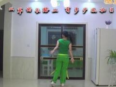 绿旋风广场舞32步舞蹈视频 林霞广场舞 正反面演示教学附