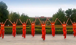 广场舞中国美分解动作教学视频 舞动旋律2007健身队 附