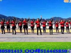 广场舞新疆亚克西舞蹈 洛阳雨凡广场舞 8步舞蹈分解动作视频
