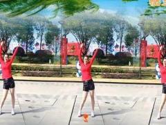 漓江飞舞广场舞 摇摆的女孩DJ广场舞视频 分解动作教学演示附舞曲