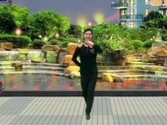 凤凰六哥广场舞 一壶老酒舞蹈视频 分解动作教学视频