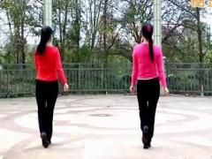 广场舞兄弟喝个够舞蹈视频 金盛小莉广场舞 正反面演示感活力健身舞