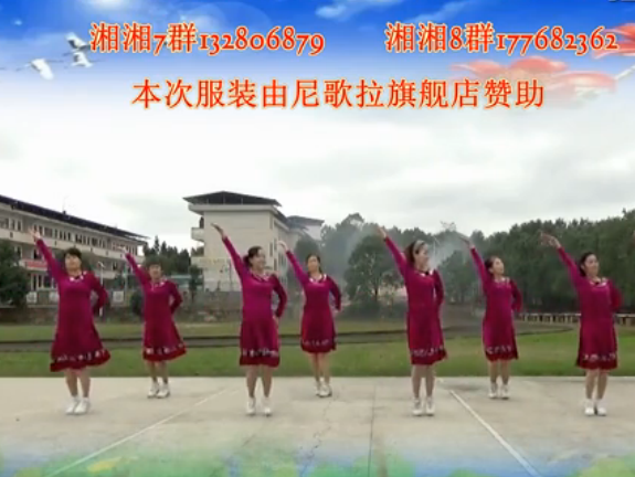 湘湘广场舞  正面视频演示 醉在花海 中老年广场舞免费 广场舞