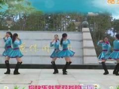 杨丽萍广场舞 玫瑰好妹妹舞蹈视频 分解动作教学双人对跳舞