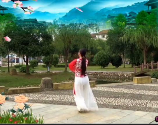 广场舞红花雨 清荷广场舞 2016年最新广场舞视频教学免费 超清视频