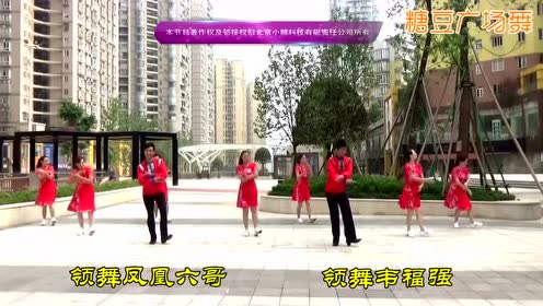 凤凰六哥广场舞 天边的情歌舞蹈 分解动作教学视频附舞曲