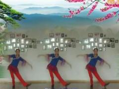 广场舞锦上南京舞蹈视频 雪落泾河广场舞 正面演示编舞瓦瓦