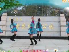杨丽萍旧的不去新的不来广场舞 分解动作教学双人对跳舞蹈视频