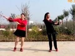 广场舞哥哥你别忘了我舞蹈视频 大荔凤玲广场舞 分解动作32步双人舞