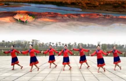 応子广场舞 岩缝里盛开的花舞蹈视频 分解动作教学视频附