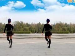 广场舞林妹妹爱上贾宝玉视频 麒麟广场舞 正反面演示24步舞蹈