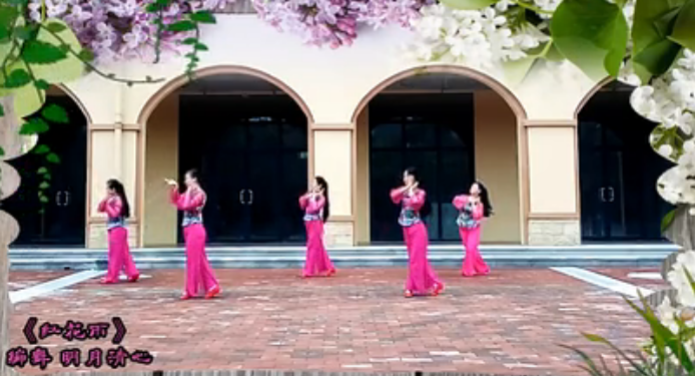 琴艺舞苑舞蹈 红花雨广场舞视频 分解动作舞蹈演示教学