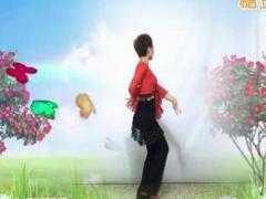 澄海春风广场舞 雨蝶舞蹈视频 柔情三步分解动作教学