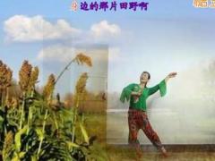 广场舞红高粱舞蹈 天缘广场舞 编舞张春丽正面演示视频教学