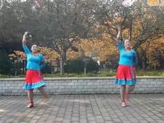 广场舞火红的萨日朗舞蹈视频 绣舞动广场舞 正面演示编舞沚水
