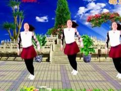 舞蝶广场舞 就爱广场舞舞蹈视频 分解动作教学编舞舞蝶