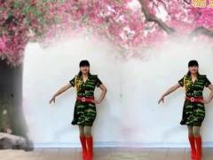 广场舞小花 南之新女女广场舞 单人水兵舞正反面演示视频