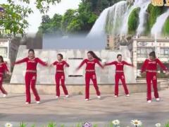 杨丽萍广场舞 新年大吉舞蹈视频 贺岁迎新舞分解动作教学视频