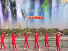 青儿广场舞 雄狮中国舞蹈视频 分解教学附舞曲