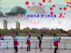 喜迎2017青儿广场舞 欢歌中华舞蹈视频 双人对跳变队形分解教学