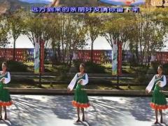 漓江飞舞广场舞 我在草原唱情歌舞蹈视频 健身舞分解教学