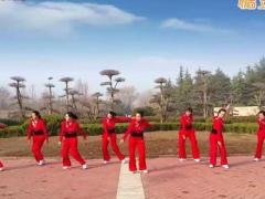 舞动旋律2007广场舞 马背上的萨日朗舞蹈视频 分解教学团队版