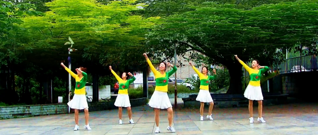 兴梅广场舞 总统舞蹈视频 编舞:兴梅分解动作教学