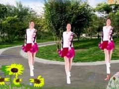 舞蝶广场舞 中国舞蹈视频 花球操分解教学编舞：华美舞动