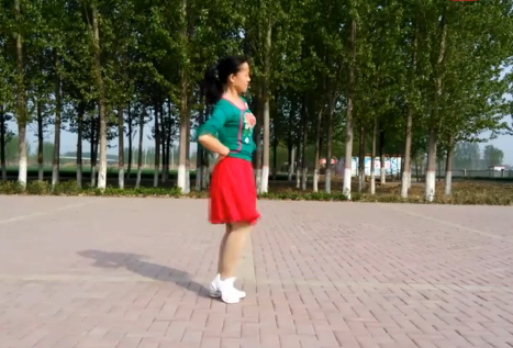 磁县南豆公广场舞 掌心上的时光舞蹈视频 正面演示附