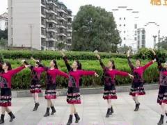 沅陵燕子广场舞 相约拉萨舞蹈视频 原创藏族舞分解教学