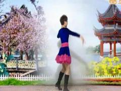 澄海春风广场舞 何日再相逢舞蹈视频 现代舞分解教学