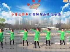 青儿广场舞 马背上的萨日朗舞蹈视频 草原风分解教学团队版