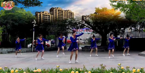 兴梅广场舞 神秘的夜晚舞蹈视频 分解动作教学