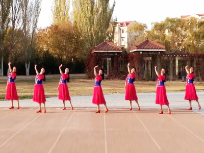 新疆瓜乡广场舞 古丽帕旦舞蹈视频 明星20强舞队分解教学