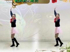 映容雪广场舞 碧蓝村的姑娘舞蹈视频 正反面演示分解教学
