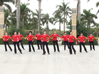 海之韵广场舞 舞动中国舞蹈视频 正反面演示分解教学