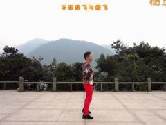 武阿哥广场舞 谁说梅花没有泪舞蹈视频 32步分解教学